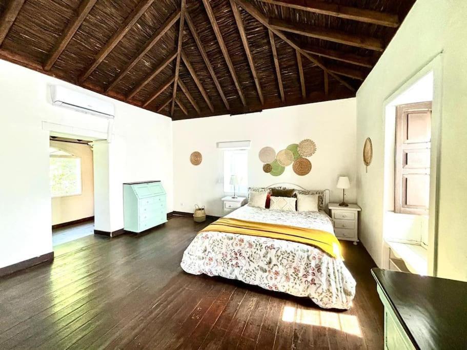 Los Matos, Canarian House In Valleseco Dış mekan fotoğraf