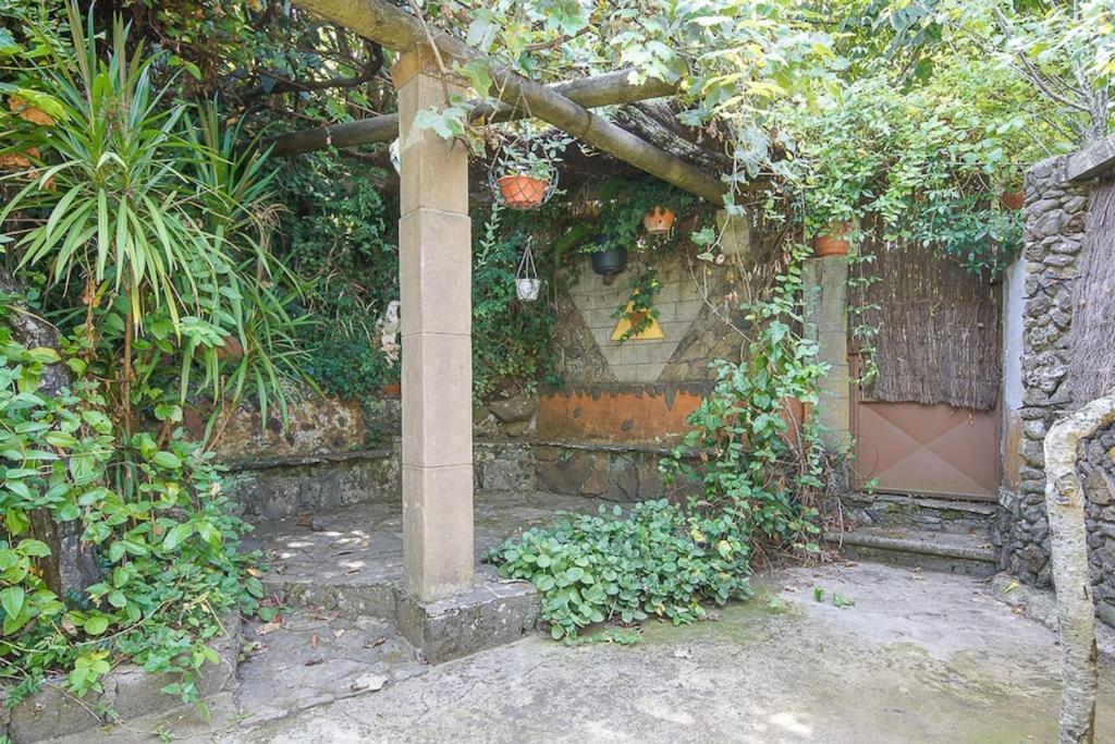 Los Matos, Canarian House In Valleseco Dış mekan fotoğraf