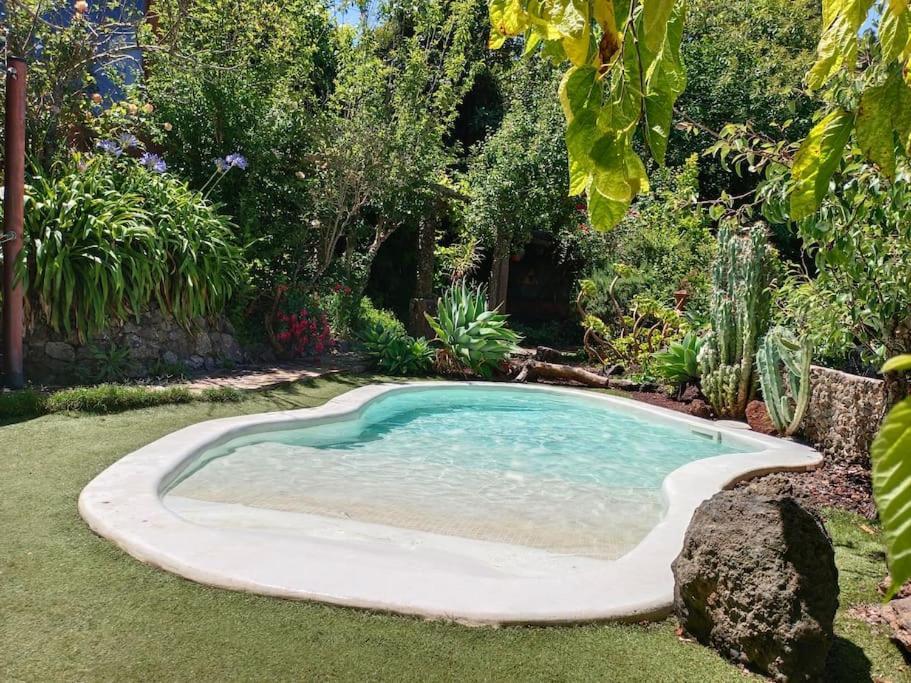 Los Matos, Canarian House In Valleseco Dış mekan fotoğraf