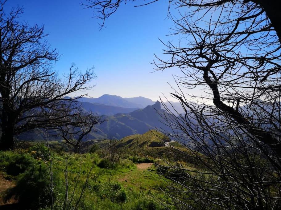 Los Matos, Canarian House In Valleseco Dış mekan fotoğraf