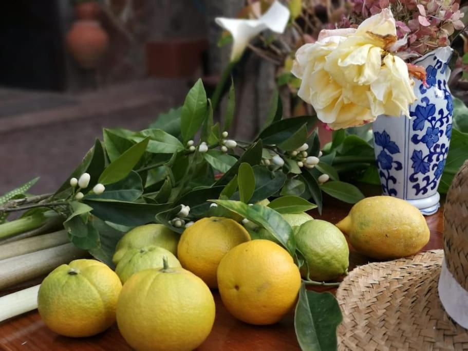 Los Matos, Canarian House In Valleseco Dış mekan fotoğraf
